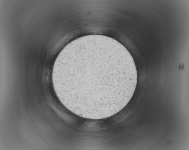 X0000110960072200907311116