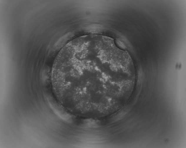 X0000110960073200907311116
