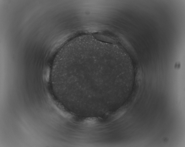 X0000110960076200907311116