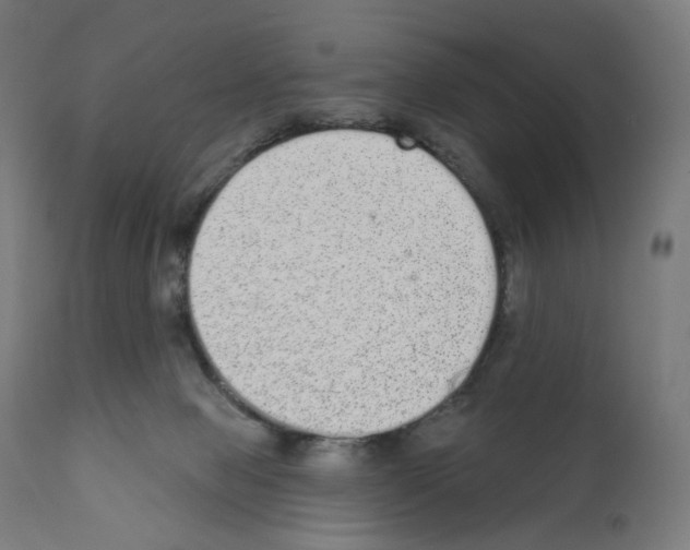 X0000110960077200907311116