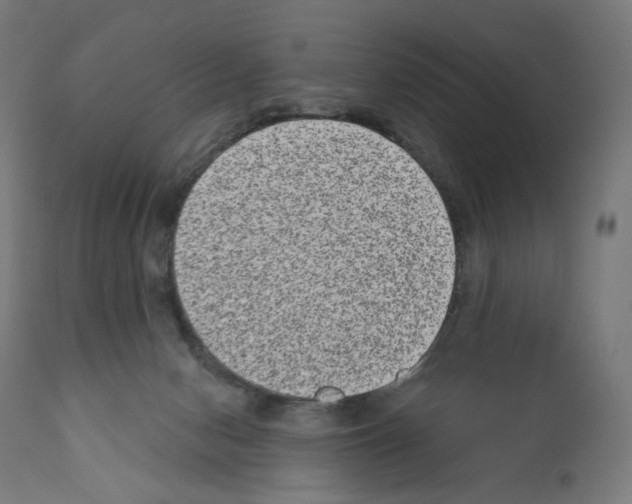 X0000110960078200907311116