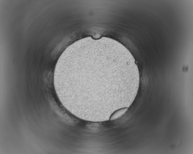 X0000110960079200907311116
