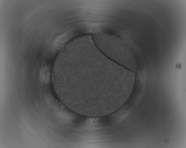 X0000110960080200907311116