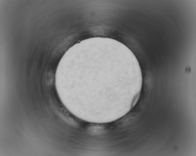 X0000110960081200907311116