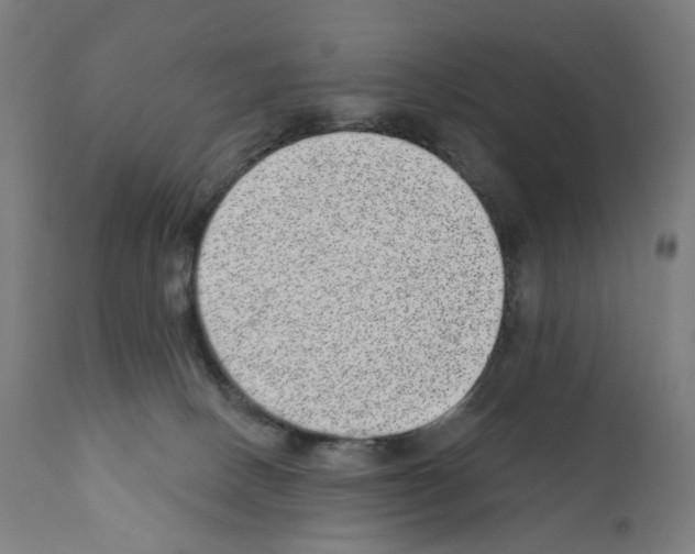 X0000110960082200907311116
