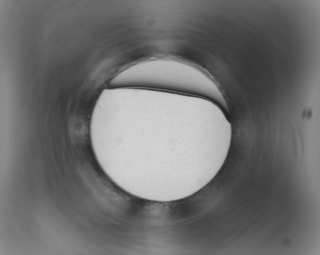 X0000110960084200907311116