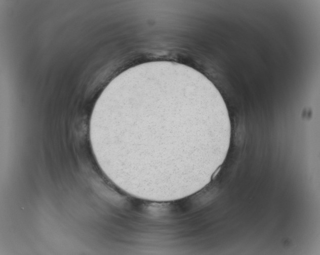 X0000110960085200907311116