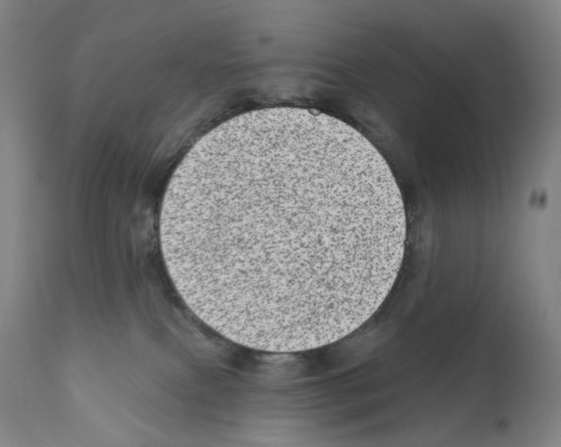 X0000110960087200907311116