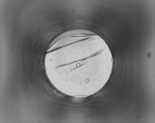 X0000110960088200907311116