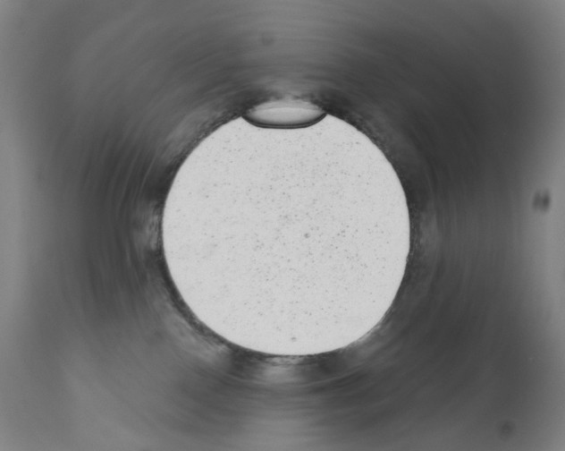 X0000110960090200907311116