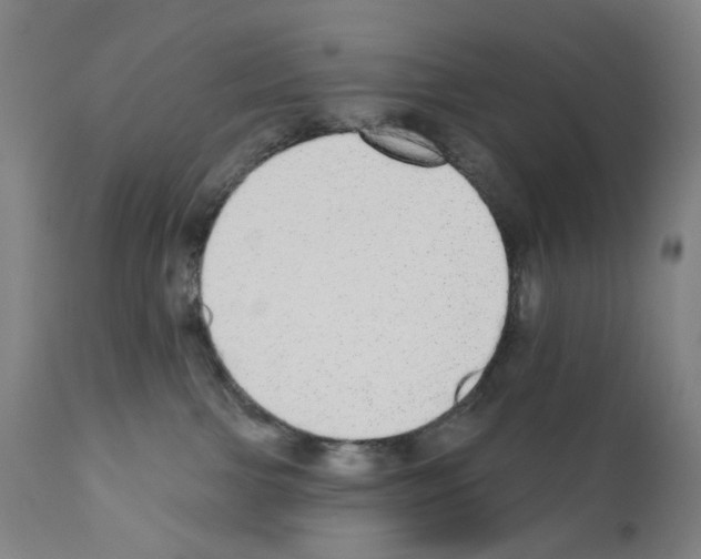 X0000110960091200907311116