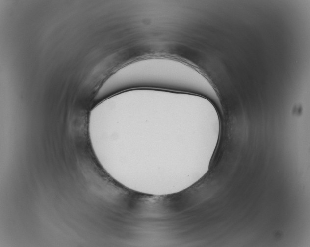 X0000110960092200907311116