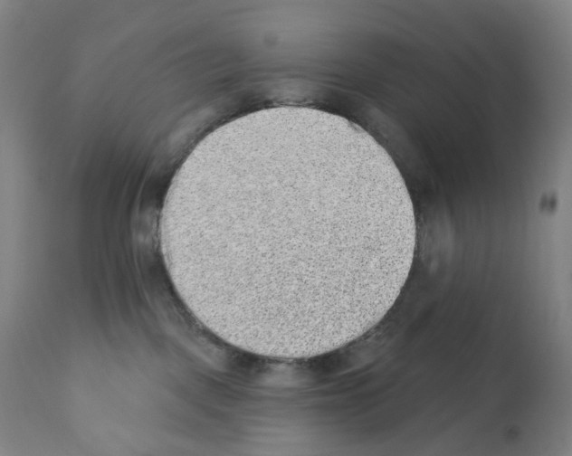 X0000110960093200907311116