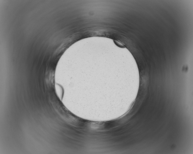 X0000110960094200907311116
