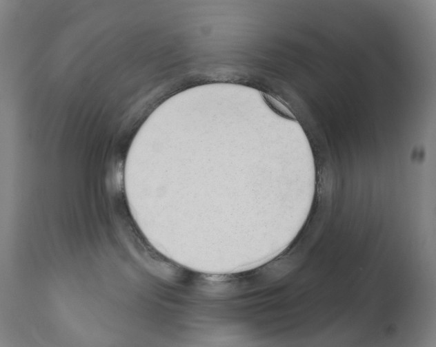 X0000110960095200907311116