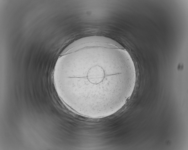 X0000110960096200907311116