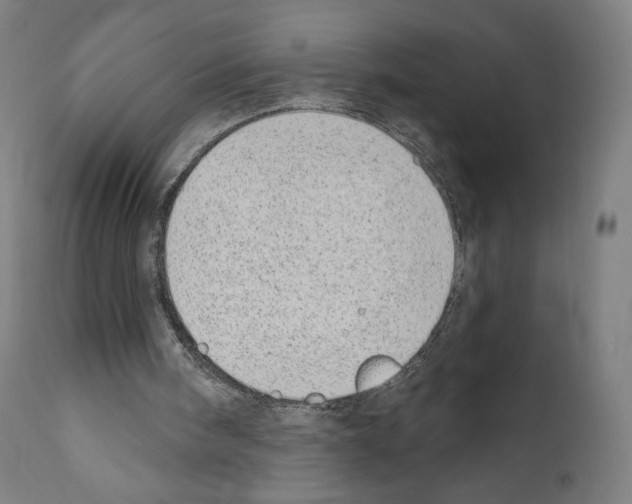 X0000110960098200907311116