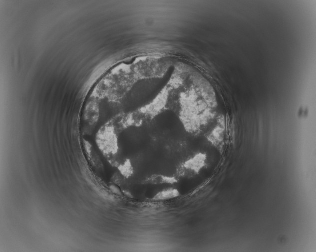 X0000110960099200907311116