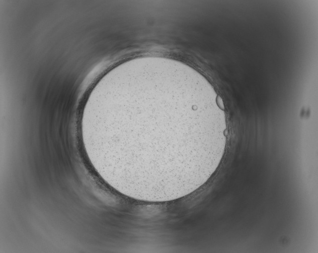 X0000110960102200907311116