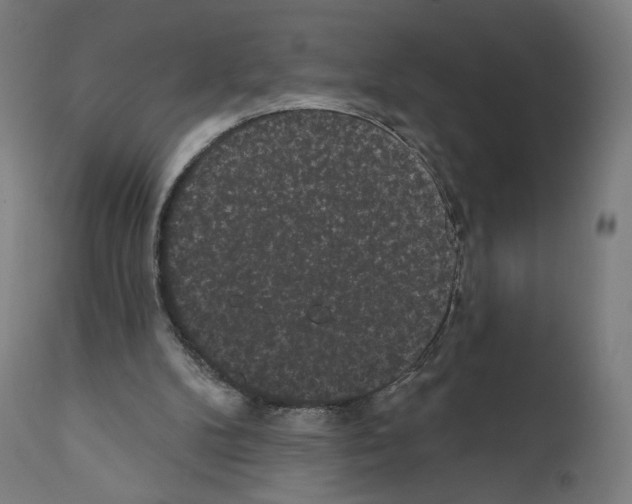 X0000110960104200907311116
