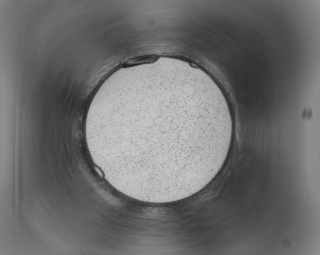 X0000110960105200907311116