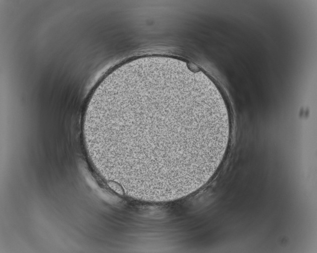 X0000110960107200907311116