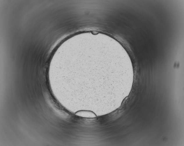 X0000110960108200907311116