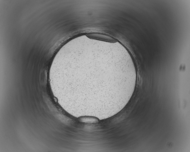 X0000110960109200907311116