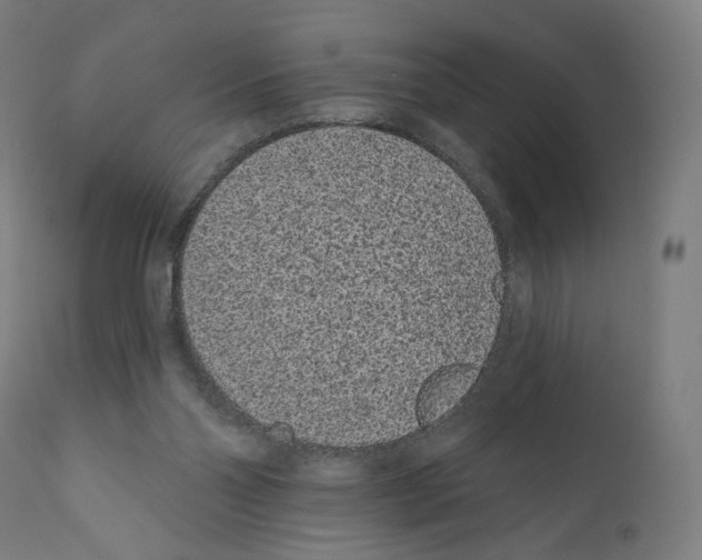 X0000110960110200907311116