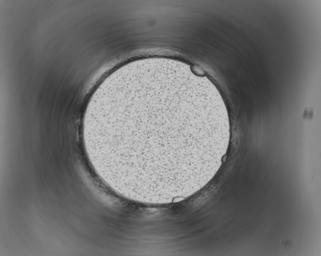 X0000110960111200907311116