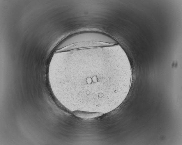 X0000110960112200907311116
