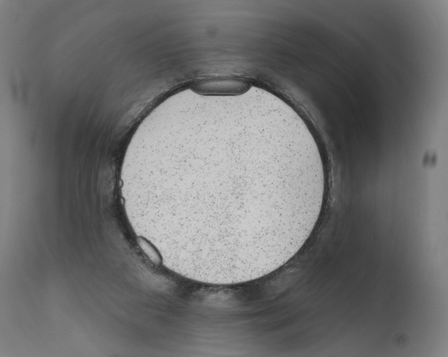 X0000110960113200907311116