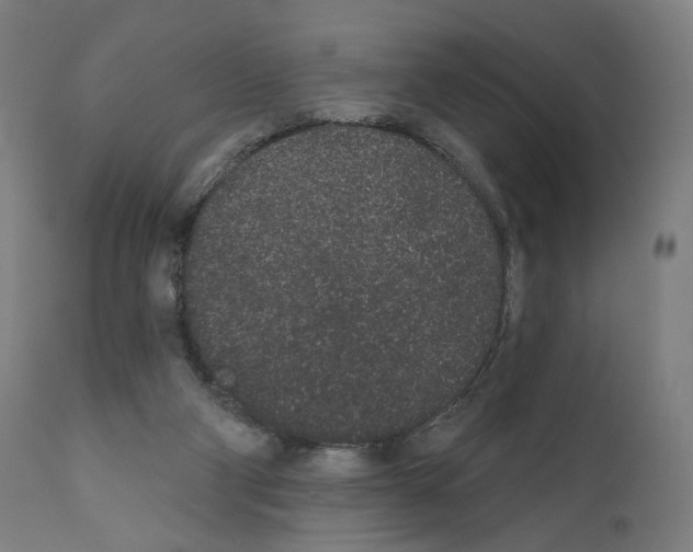 X0000110960114200907311116