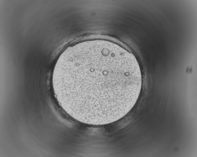 X0000110960115200907311116