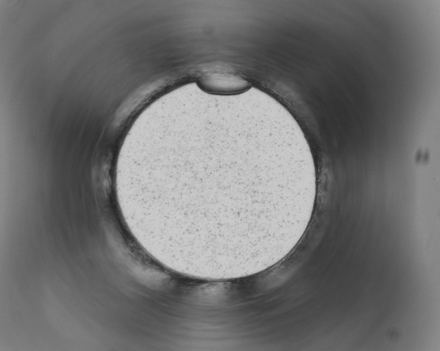 X0000110960116200907311116