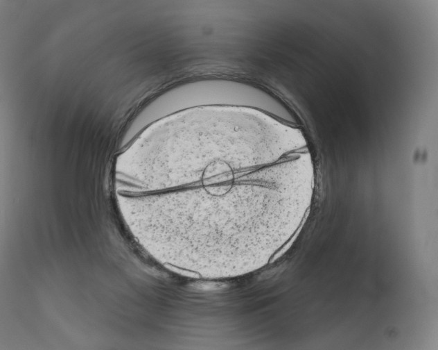 X0000110960117200907311116