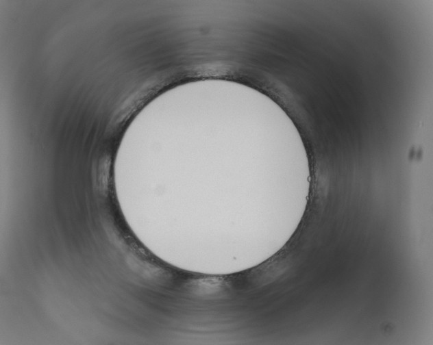 X0000110960118200907311115