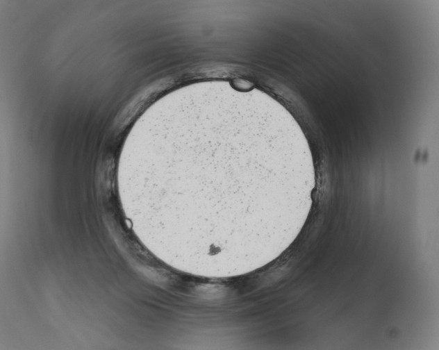 X0000110960119200907311115