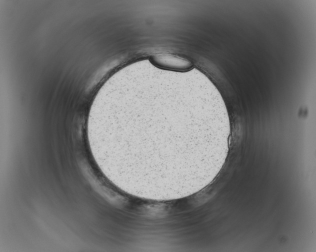 X0000110960120200907311115