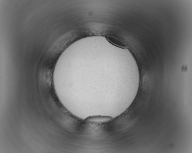 X0000110960121200907311115