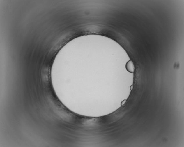 X0000110960122200907311115
