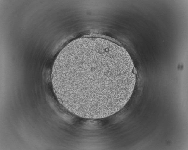 X0000110960123200907311115