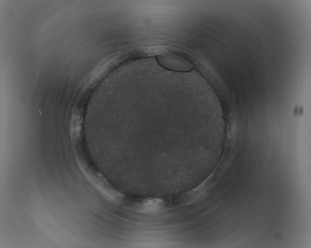 X0000110960124200907311115