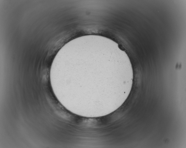 X0000110960125200907311115