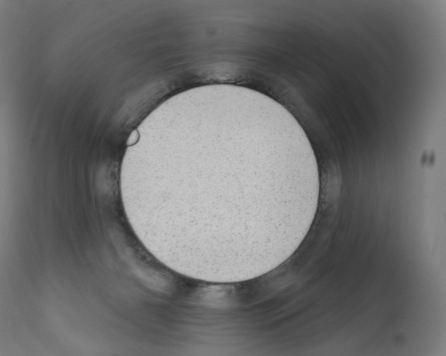 X0000110960126200907311115