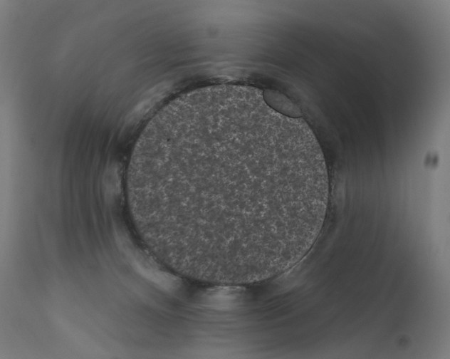 X0000110960128200907311115
