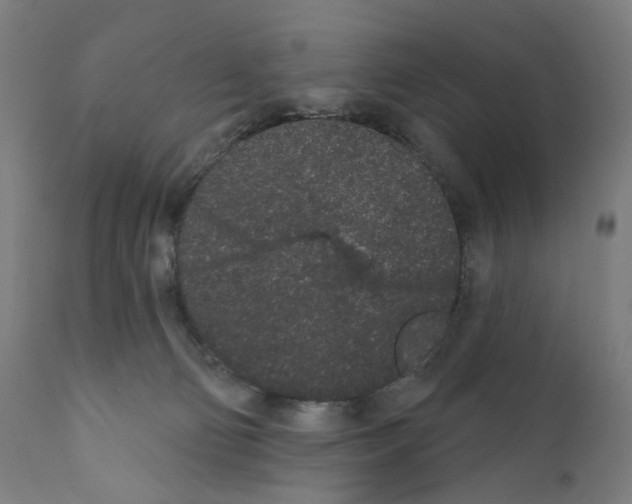 X0000110960130200907311115
