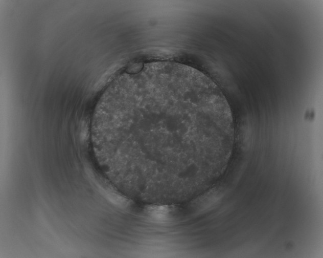 X0000110960131200907311115