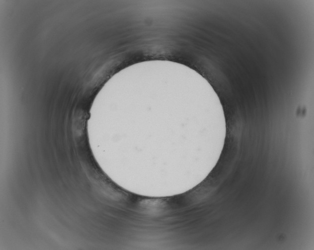 X0000110960133200907311115