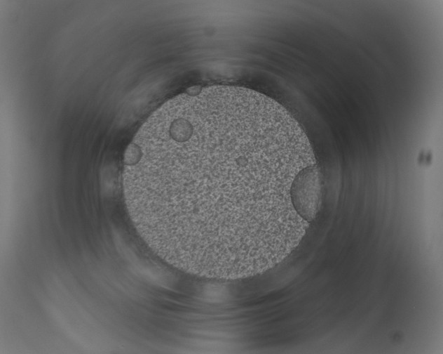 X0000110960134200907311115